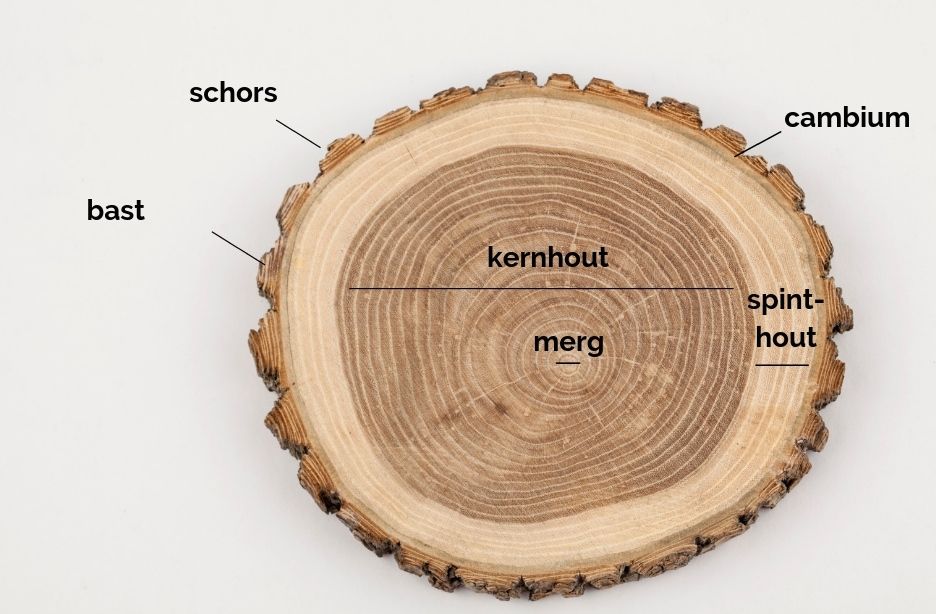 De natuurlijke eigenschappen van